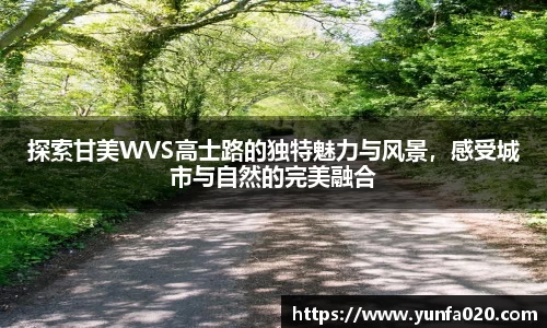 探索甘美WVS高士路的独特魅力与风景，感受城市与自然的完美融合
