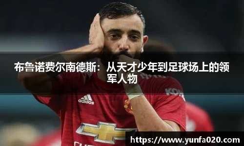 星空.综合体育官网