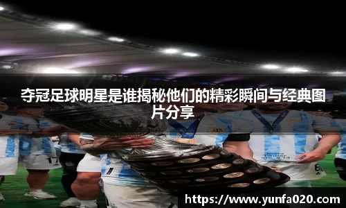 星空.综合体育官网