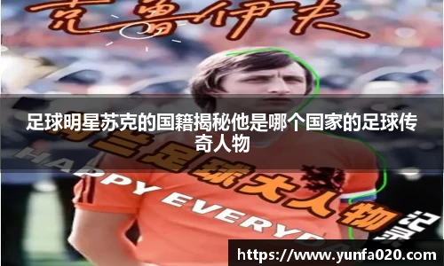 星空.综合体育官网